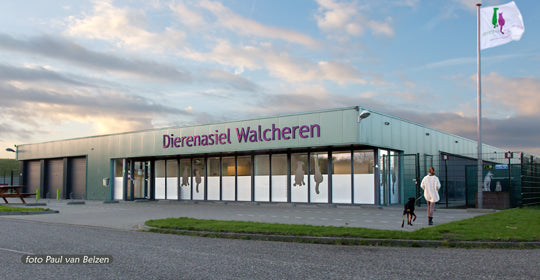 Stichting Dierenasiel Walcheren