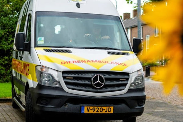 Dierenambulance Zeeland