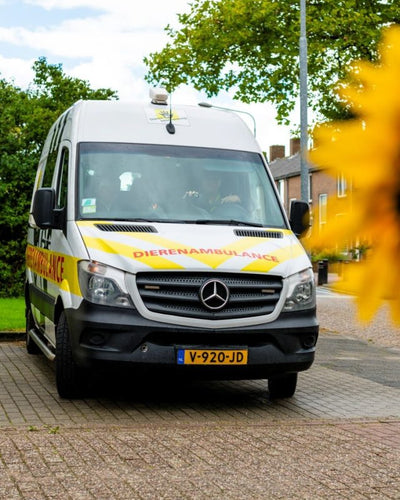 Dierenambulance Zeeland
