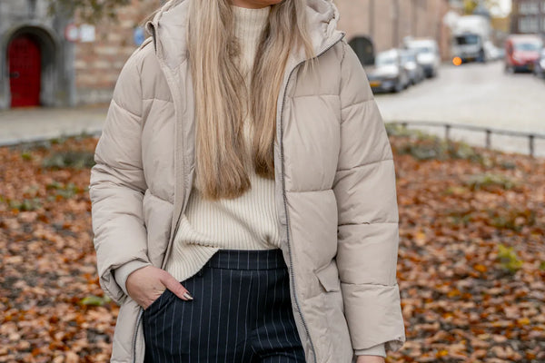Shanon Fashion