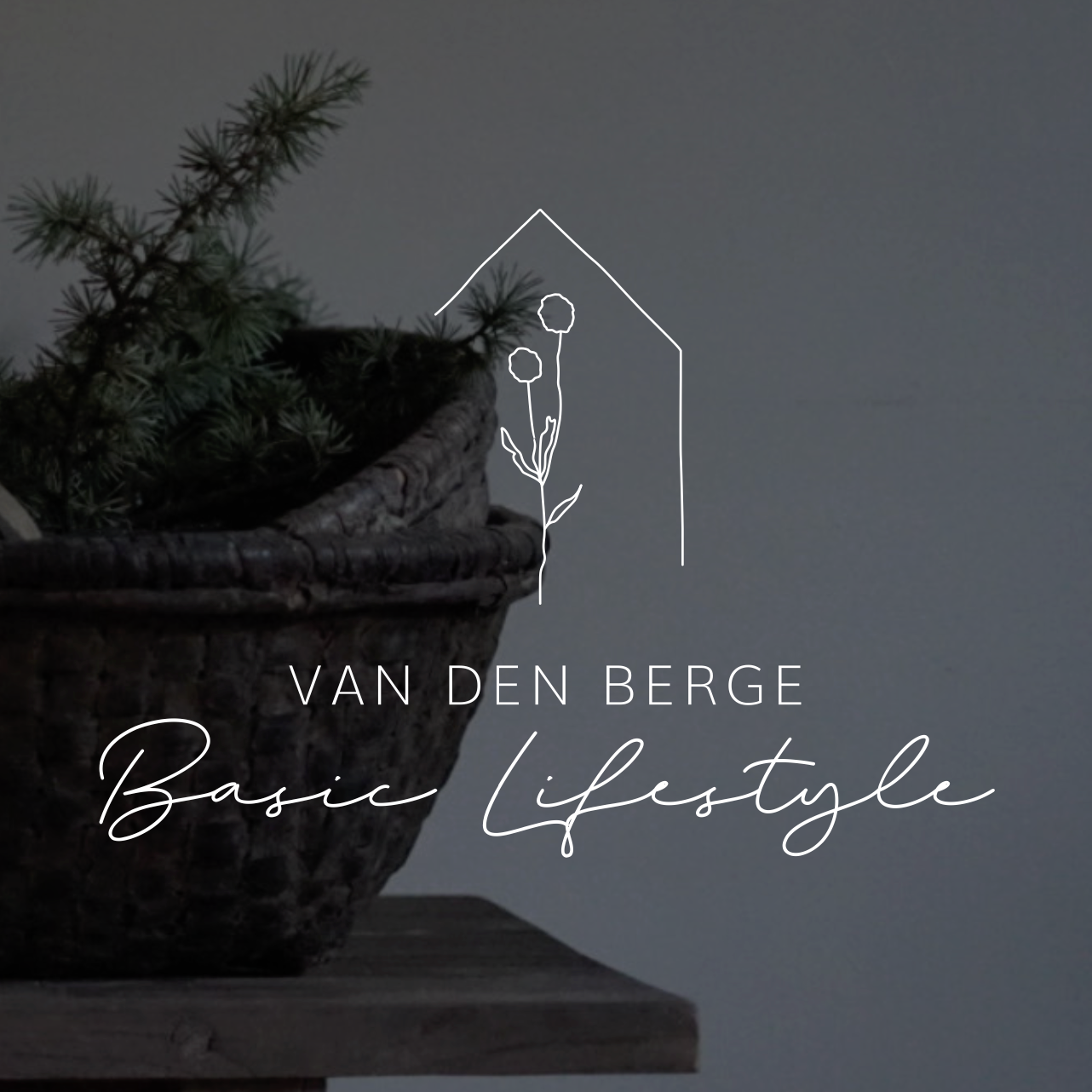 Van den Berge Basic Lifestyle